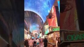 move-it-and-get-crazy-at-las-vegas-shorts-lasvegas-fremontstreetlasvegas.jpg