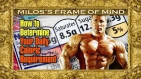 how-to-determine-your-daily-caloric-requirement-milos-tells-secrets-from-the-pros.jpg