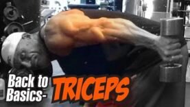 bodybuilding-the-most-important-rules-to-know-when-getting-started-back-to-basics-triceps.jpg