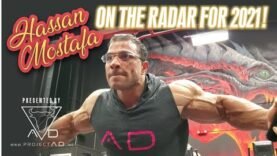 hassan-mostafa-on-the-radar-for-2021.jpg