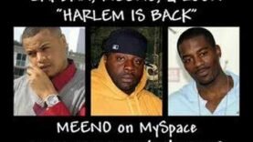 cardan-meeno-loon-harlem-is-back.jpg
