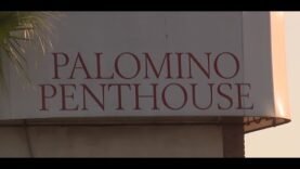 palomino-club-reopens-with-new-rules.jpg