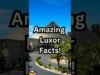 luxor-las-vegas-interesting-facts-about-the-pyramid-on-the-las-vegas-strip-lasvegas-shorts.jpg
