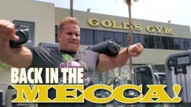 back-in-the-mecca.jpg