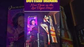 bottled-blonde-now-open-on-the-las-vegas-strip-shorts-bars-partyvibes-views-lasvegas.jpg