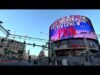las-vegas-strip-cruising-november-9-2024-sunrise-4k.jpg