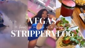 las-vegas-stripper-vlog-1k-night-sightseeing-food-club-tour-pole-footage-life-of-malibu.jpg