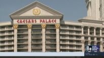 new-report-details-number-of-bed-bugs-reported-at-las-vegas-hotels.jpg