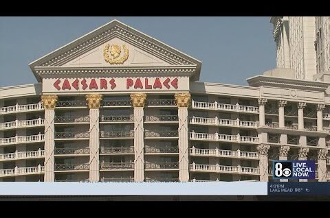 new-report-details-number-of-bed-bugs-reported-at-las-vegas-hotels.jpg