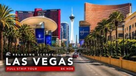driving-into-every-casino-hotel-valet-on-the-las-vegas-strip-8k-hdr-tour.jpg