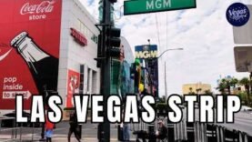 weekday-walking-tour-on-the-las-vegas-strip-during-july-2026.jpg