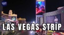 las-vegas-strip-summer-night-walking-tour-in-july-2026.jpg