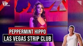 las-vegas-strip-club-peppermint-hippo.jpg