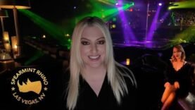 las-vegas-strip-club-casting-call-spearmint-rhino.jpg