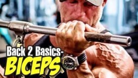 what-are-the-most-important-training-parameters-to-build-muscle-back-to-basics-biceps.jpg