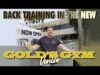 back-training-in-the-new-golds-gym-venice.jpg