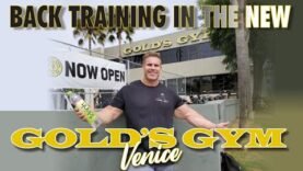 back-training-in-the-new-golds-gym-venice.jpg