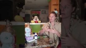 pimpmeg-a-short-discription-on-how-i-believe-creation-has-been-created-part-1-out-of-2-parts.jpg