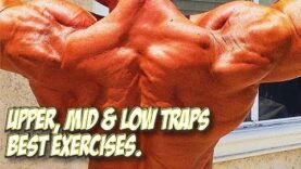 the-reasons-why-many-pros-do-not-worry-about-exercise-technique-or-tempo-of-their-reps.jpg