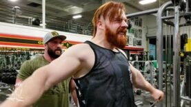 wwe-the-celtic-warrior-and-stanimal-late-night-delts-workout-at-golds-gym-venice.jpg